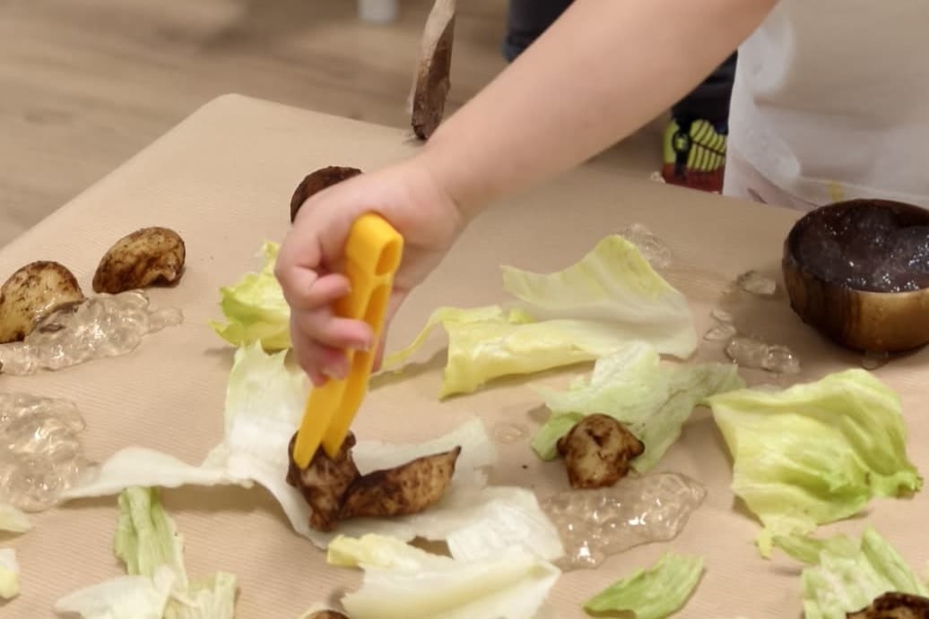 La mano de un niño cogiendo un champiñón con unas pinzas de plástico, entre hojas de lechuga y trozos de hielo sobre la mesa